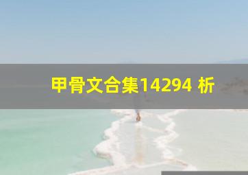 甲骨文合集14294 析